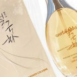 불쾌한 땀냄새 차단 설국화 샤워코롱 은은한 잔향 리프레쉬 페어리 바디 미스트 150ml : 올팜상회