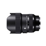 SIGMA 시그마 A 14-24mm F2.8 DG DN (소니 E마운트) 렌즈. : 매니아