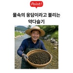 1급수 맑은물 당일조업 당일배송 평창 영월 동강 생다슬기 국 찌개 무침 다양하게 활용 : Mari mall