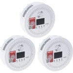일산화탄소 테스트기 준비 공기 모니터 음성 알림 주방 야외용 활성화 분석기 경보장 DH6005857 3個 : 현앤그레이스