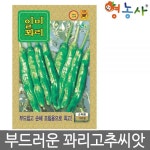 일미 꽈리고추씨앗 100립 1개 식사 정식 외식 간편요리 분식 회식 : 다올05