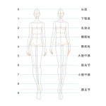 디자인 의류 패턴자 마네킹 자 작지 작업지시서 인체모형 그리기 눈금 (다이나믹 S 높이 23cm) : 오아모먼트
