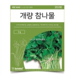 ON 씨앗 개량 참나물 채소키우기 채소 주말농장 : 화이트집꾸미기