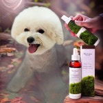 HAMIL 자연유래 피부탄력 산뜻한 반려동물 왕향기롭개 미스트 1개 200ml : 인스라이딩