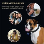 애견 바디캠 강아지 미니 동물 카메라 목걸이 하네스 녹화 블랙박스 액션캠 관찰 펫캠 : zeusmarket2