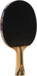 DHS 스포츠 7 스타 탁구 라켓 H7002 - 쉐이크핸드 ITTF 승인 패들 프로페셔널 5 플레이 우드 2 카본 허리케인 3 8 러버 : 솔건비즈