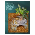 거북이 은신처 선데크 쉼터 복숭아나무 일광욕 돌 휴식처 확장형 : 노바 정품 호환 부품 02