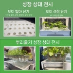 실내 수경재배기 식물키우기 식물 발코니 텃밭 커넷 키트 재배기 식물재배기 채소 수경 : 델루아1