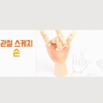 미술학원 드로잉 스케치 관절손 나무 원목 오른손 크로키 데생 : 스토어반디