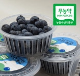 제주 무농약 알찬 생블루베리 특대과 16mm 대과 14mm 산지직송 소란농장 : 소란농장