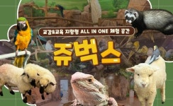 [인천] 실내 동물원 쥬벅스 : 투어비스 스토어