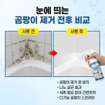 (주)웰스프레쉬 홈플러스 - 금천구 | 웰스테인 리무버 곰팡이 스프레이 곰팡이 스프레이 : 유니크한 영혼