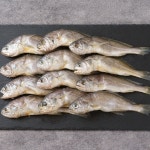 영광굴비 20미 선물세트 (마리당 20cm내외/80g 내외) : 엔조잇