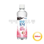 하이트진로 토닉워터 300ml 24pet : 해태가야유통