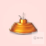 보온등 축사 사육장 닭장 램프 양계장 송아지 난방용 히터 소형 백열전구 : 백제무역