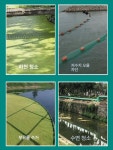 연못 수초제거망 차단망 여과망 이끼 부유물 제거망 개구리밥 수로용 수생식물 10메쉬 연못보수 강 청소 차단 제품 : 케이원샵K