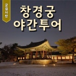 창경궁투어 서울궁투어 도슨트 야간궁 고궁 : 궁궐사랑