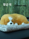 차량용 리얼 강아지 고양이 인형장식 잠자는 귀여운 정화 소품 펫 제습탈취 공기 자동차 : 직구스팟몰