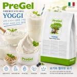 프리젤 PreGel 요기30 고농축 요거트 젤라또 아이스크림원료 1.5Kg : 그래그몰