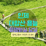 [강원] 인제 대암산 용늪 야생화길 당일여행 : 여행자클럽