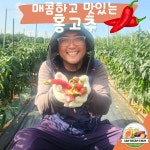 [산이드림농원] 해남 생 홍고추 5kg : 산이 드림농원
