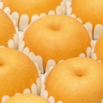 [GAP] 프리미엄 나주 신고배 가정용 5kg 8-10과 25년 햇 배 : 유한회사에코시스템