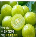 [한정수량] 하루 100박스만 초고당도 샤인머스캣 엄격선별 산지직송 프리미엄 포도 : 한들 유통
