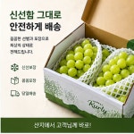 [한정수량] 하루 100박스만 초고당도 샤인머스캣 엄격선별 산지직송 프리미엄 포도 : 한들 유통