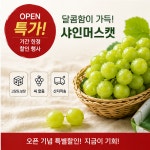 [한정수량] 하루 100박스만 초고당도 샤인머스캣 엄격선별 산지직송 프리미엄 포도 : 한들 유통