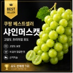 [한정수량] 하루 100박스만 초고당도 샤인머스캣 엄격선별 산지직송 프리미엄 포도 : 한들 유통
