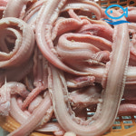 꼼장어 양념세트 950g + 양념3팩 곰장어 볶음 자갈치 : 바다더해