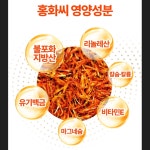영진약품 독일 불포화지방산 프리미엄 송침유 맥스 솔잎 오일 홍화씨유 활력 120캡슐, 2개 : 프레쉬21