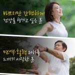 영진약품 독일 불포화지방산 프리미엄 송침유 맥스 솔잎 오일 홍화씨유 활력 120캡슐, 2개 : 프레쉬21