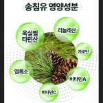 영진약품 독일 불포화지방산 프리미엄 송침유 맥스 솔잎 오일 홍화씨유 활력 120캡슐, 2개 : 프레쉬21