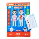 명칭 인체 교육 차트 배우기 신체 부위 맞추기 그림 그림책 : 가성비 추천 사무실 업소용
