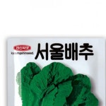 서울배추 씨앗 10g 김치 김장용 텃밭 원예 채소 야채 재배 모종 농사 주말농장 : 해신 상사