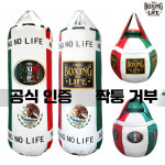 볼 샌드백 천장 무에타이 복싱 스트레칭 체육관 도장 : 푸들앤베어
