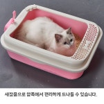탐나는 고양이 화장실 /고양이자동화장실/고양이후드형화장실/캣토일렛/고양이화 A. 소형 블루 : 하이브릿지글로벌