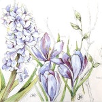 337 냅킨 20장 (33X33cm) : 조이팡팡
