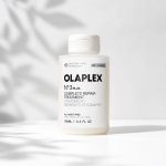 [극손상모케어] 올라플렉스 No.3 플러스 컴플리트 리페어 트리트먼트 100ml (단품기획) : PINE STORE