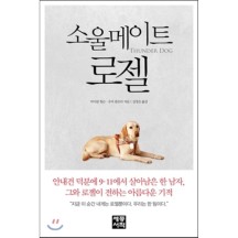 소울메이트 로젤  세종서적  마이클 힝슨 수지 플로리 공저/김정은 역
