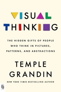 The Visual Thinking (The Hidden Gifts of People Who Think in Pictures, Patterns, and Abstractions)