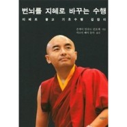 번뇌를 지혜로 바꾸는 수행-티베트 불교 기초수행 길잡이