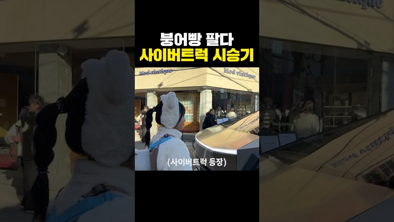 2026 테슬라 사이버트럭 : 네이버 자동차 : 네이버 자동차