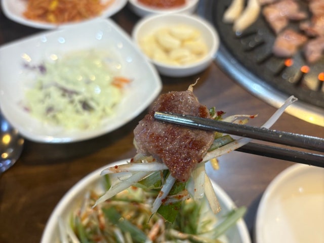 Handonusaenggogi 照片 4