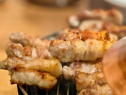 도시고기 사진 4