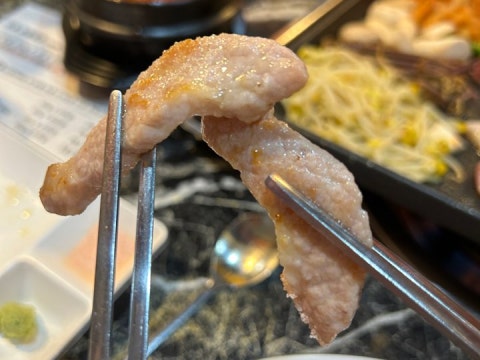산호 사진 4