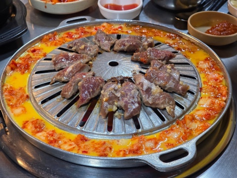 수유진미갈매기 사진 4