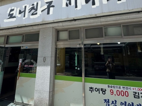 도니친구미나리 사진 4