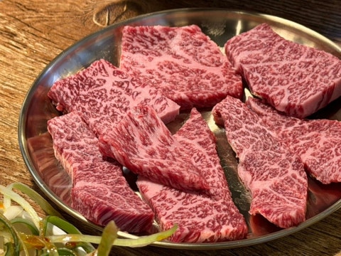 금한우 사진 4